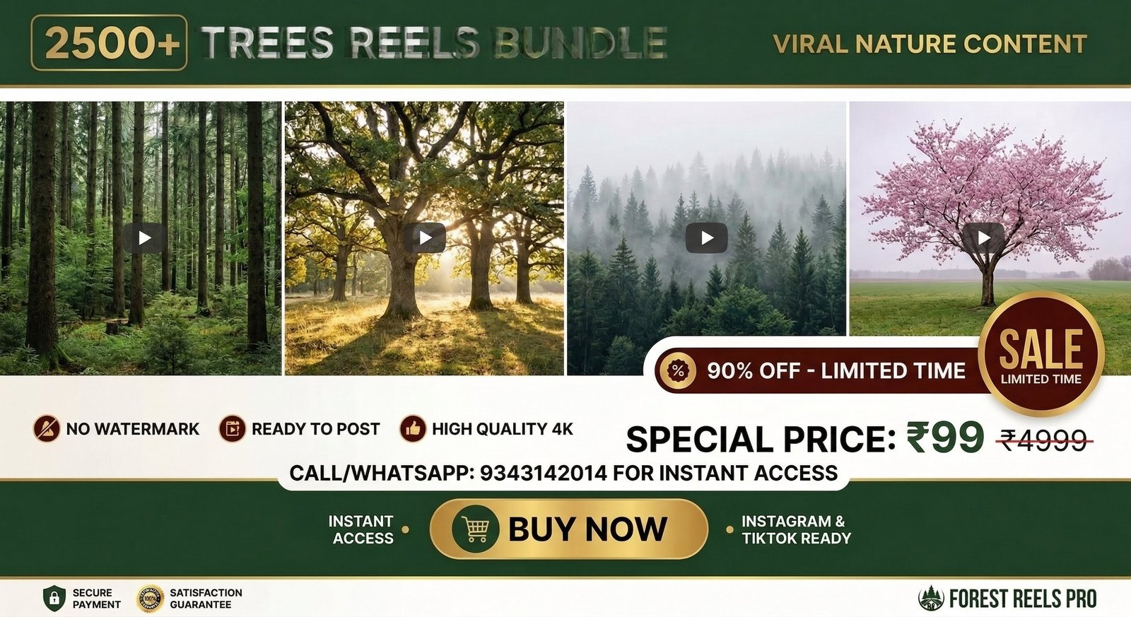 Trees reels bundle